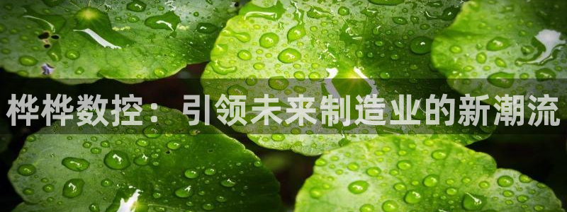 天辰娱乐招商