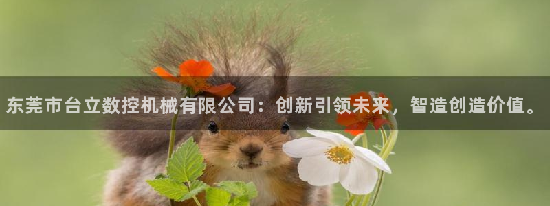 天辰娱乐公司