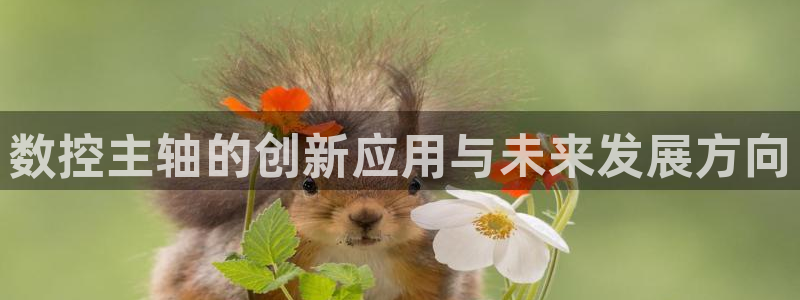 天辰娱乐好吗
