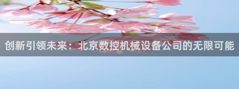 天辰娱乐卡