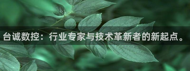 天辰娱乐好吗