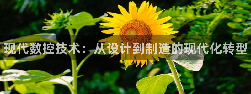 天辰娱乐指定