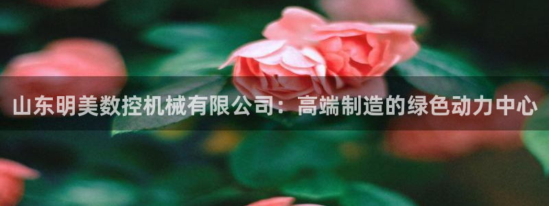 天辰娱乐_ 18113