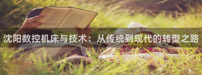 天辰娱乐1966