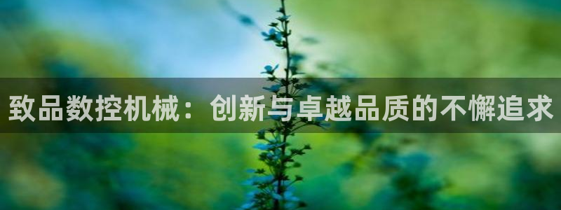 天辰娱乐游戏平台怎么样