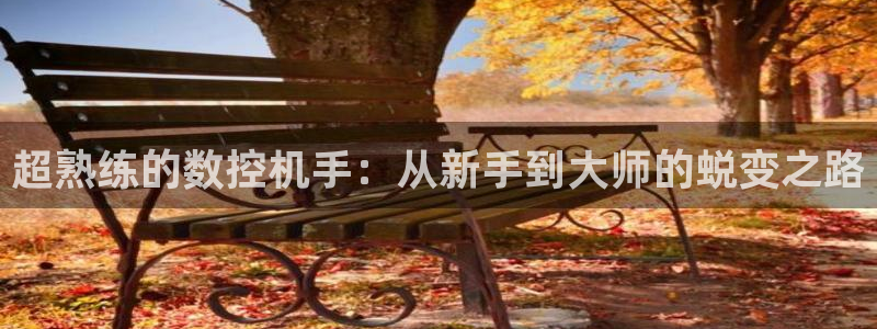 天辰娱乐老板