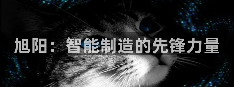 天辰娱乐 849852