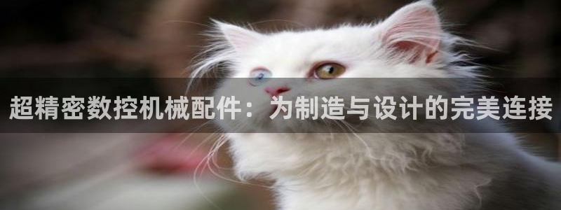 天辰娱乐tff