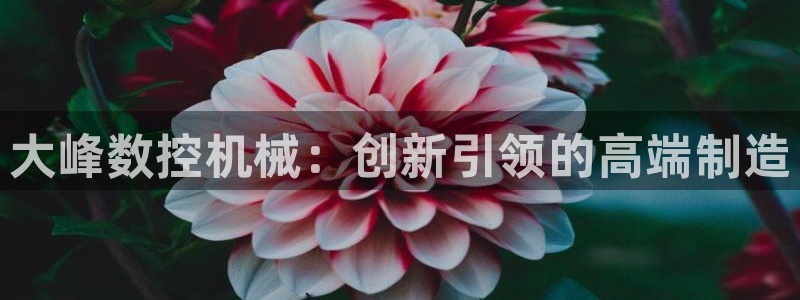 天辰娱乐在线