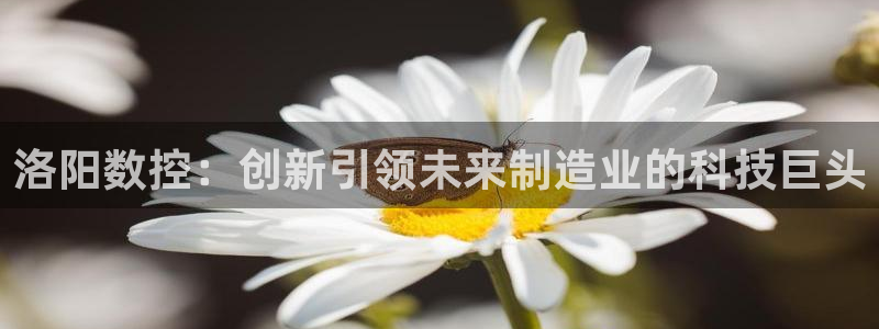 天辰娱乐娱乐