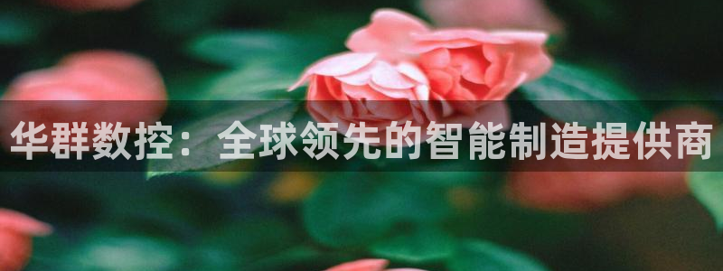 天辰娱乐地址
