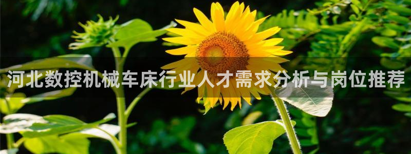 天辰娱乐平台地址