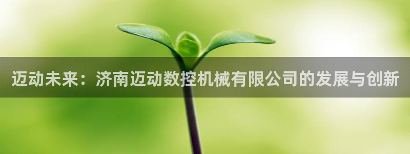 天辰国际娱乐