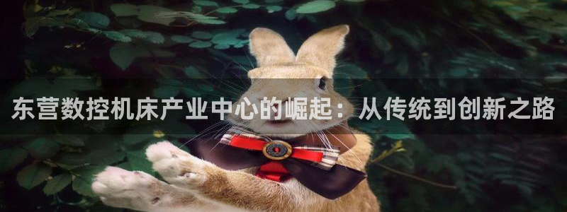 天辰娱乐入口