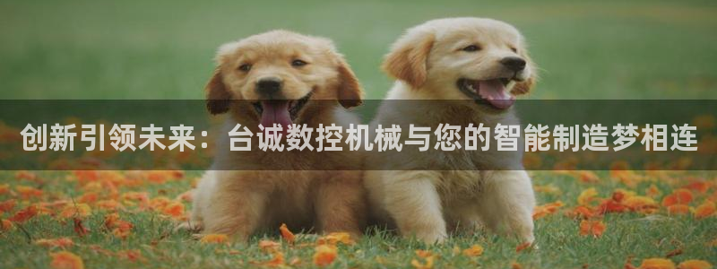 天辰娱乐22650