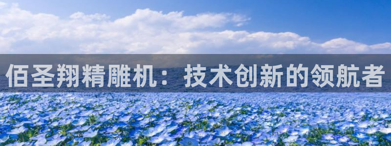 天辰娱乐-q
