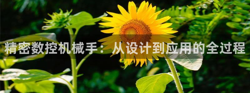 天辰娱乐说