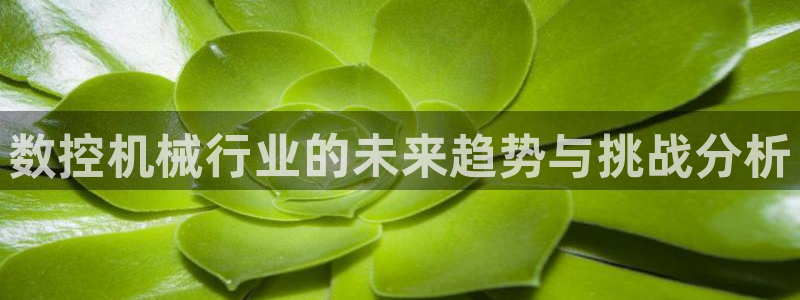 天辰娱乐557696