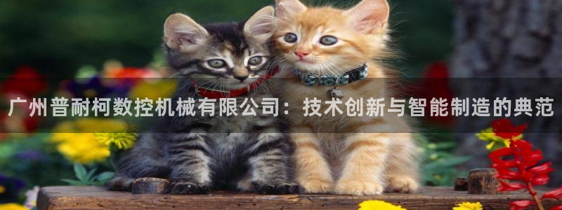 天辰娱乐84566