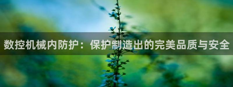天辰娱乐股票