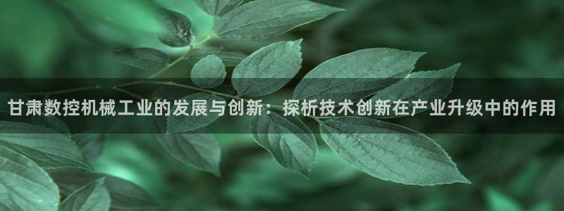 天辰娱乐APP下载