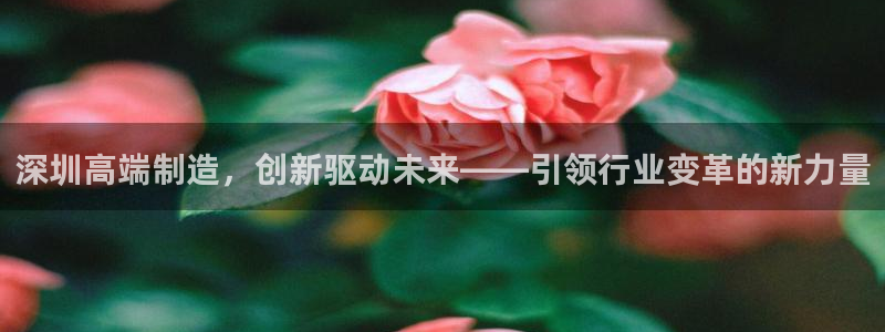 天辰娱乐_ 18113