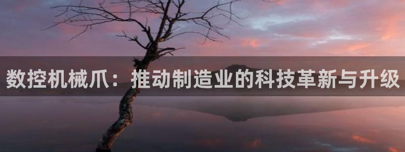 天富天辰娱乐