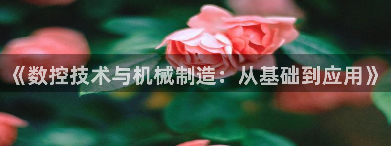 徐州天辰娱乐