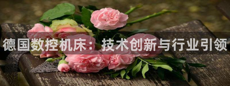 天辰娱乐线路