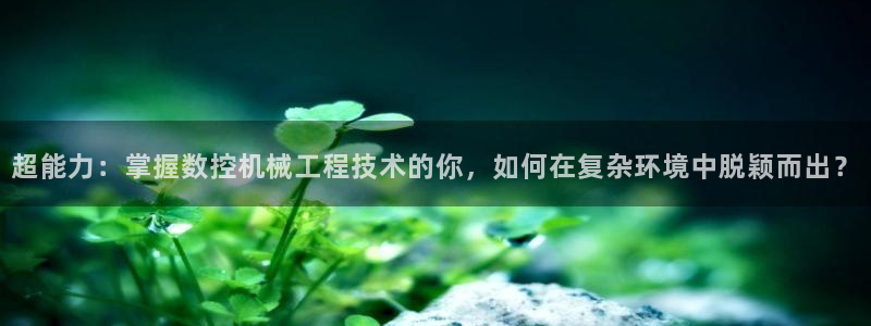 nba天辰娱乐