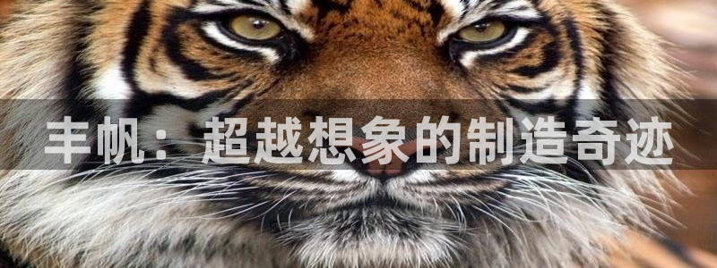 天辰娱乐挂机