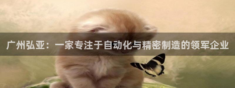 天辰娱乐分红