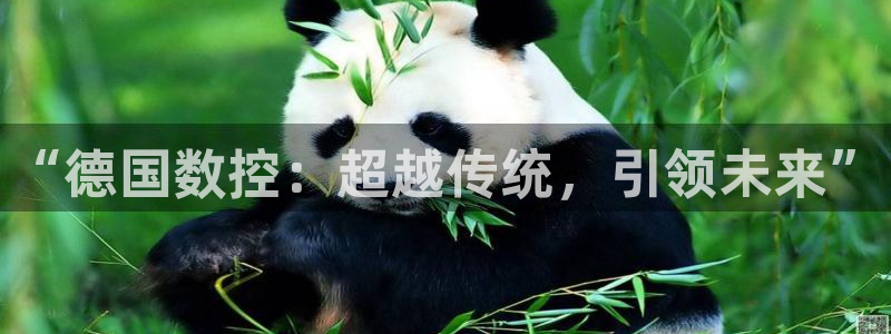 天辰娱乐内部