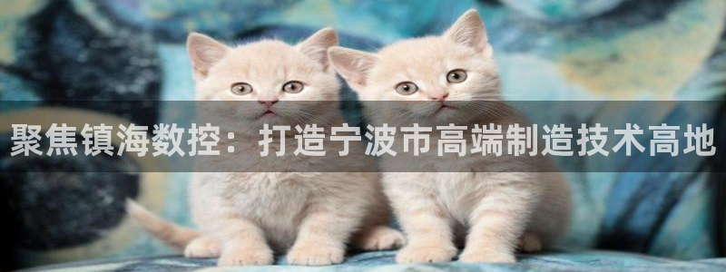 天辰娱乐论坛