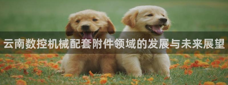 天辰娱乐平台靠谱么