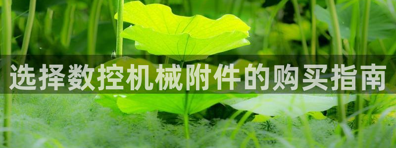 桂林天辰娱乐