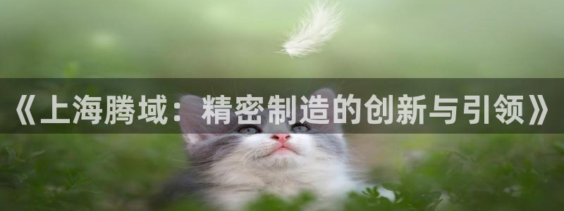 天辰娱乐主管
