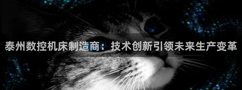天辰娱乐开户