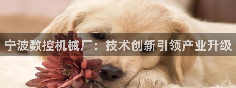 天富娱乐天辰娱乐