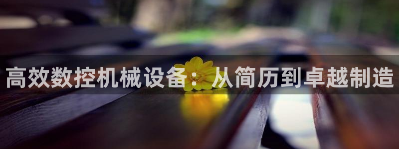 天辰娱乐 231639