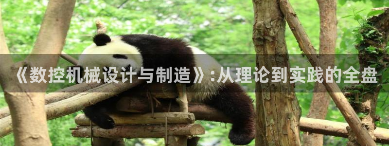 天辰娱乐主页