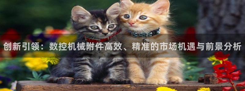 天辰娱乐传媒
