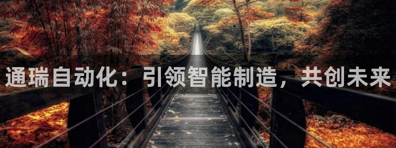 天辰娱乐股东