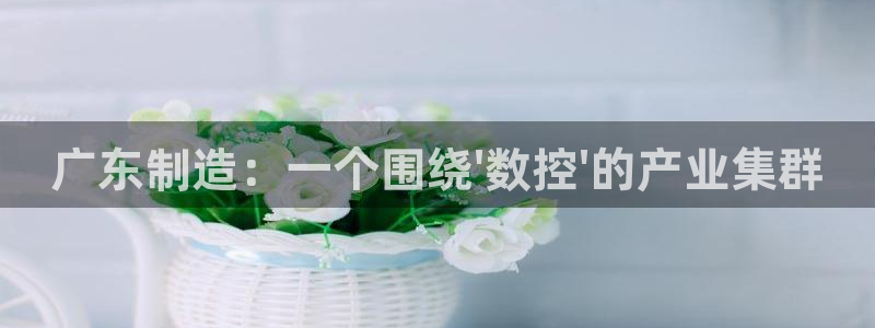 天辰娱乐44516