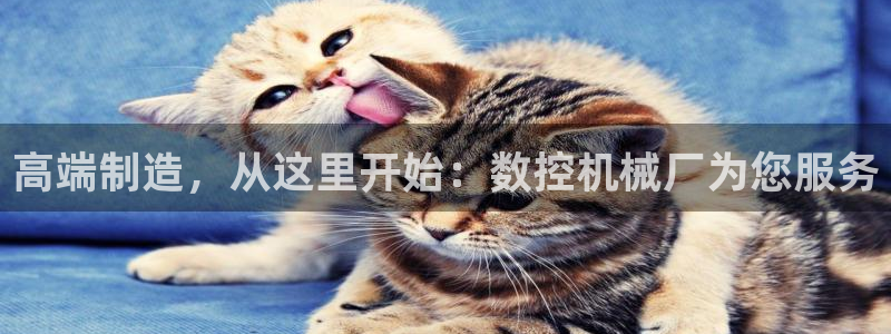 天辰娱乐视频