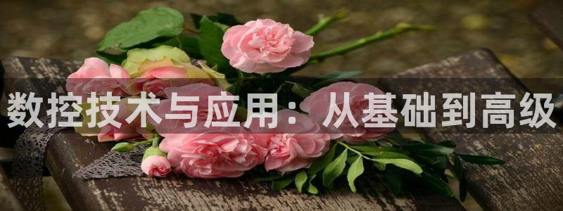 天辰娱乐赌博