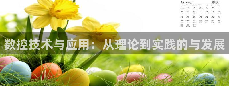 天辰臣娱乐