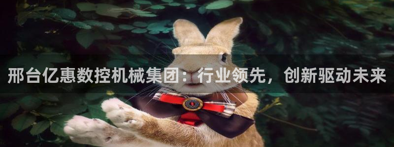 广东天辰娱乐：邢台亿惠数控机械集团：行业领先，创新驱动未来