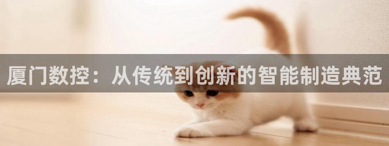 天辰娱乐分红