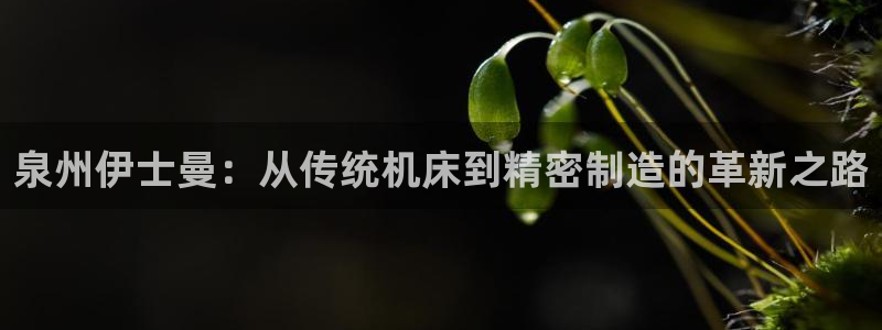 天辰娱乐挂机
